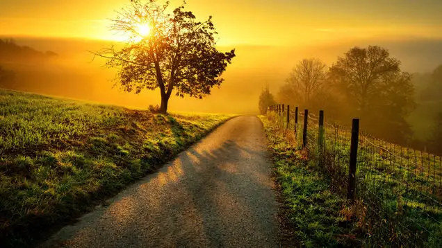 Sunrise on the old farm road